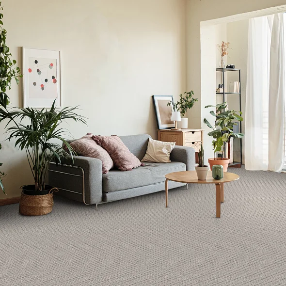 Soft gray textured carpet flooring for homes and businesses in Gastonia NC